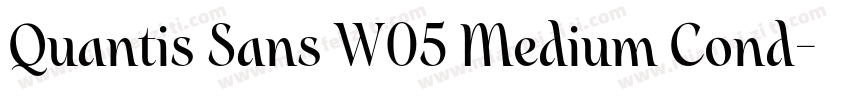 Quantis Sans W05 Medium Cond字体转换